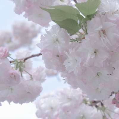 绵阳FurryQQ群介绍